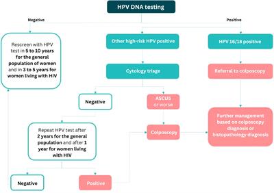 Molecular triaging options for women testing HPV positive with self-collected samples